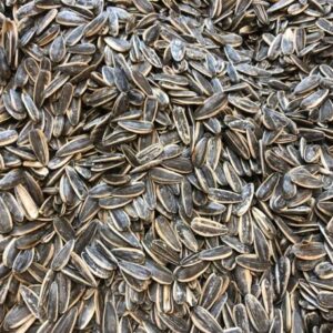 Sunflower Seeds - 1kg